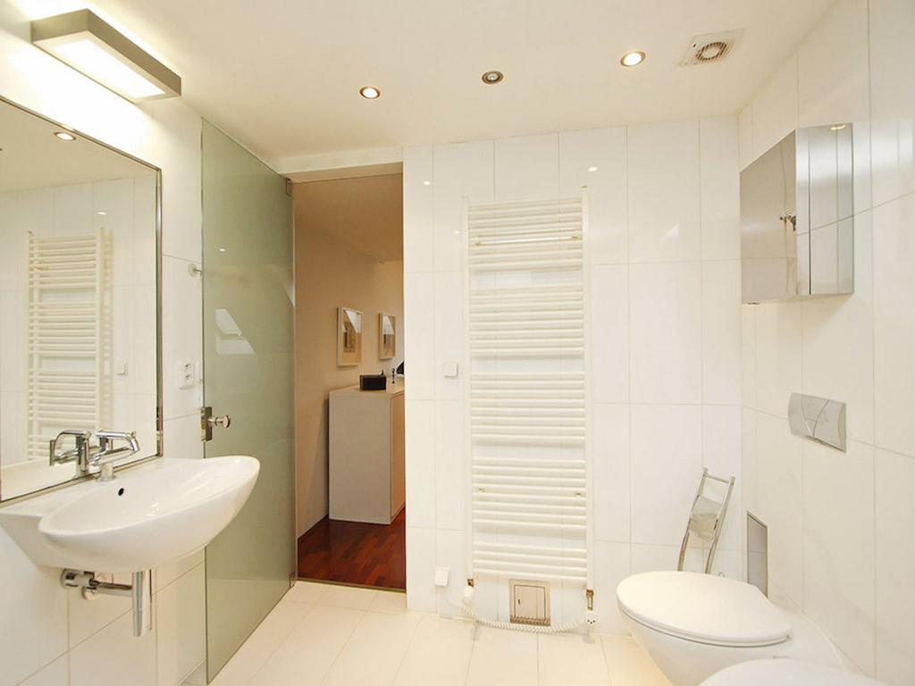 פראג Luxury Penthouse Apartment חדר תמונה